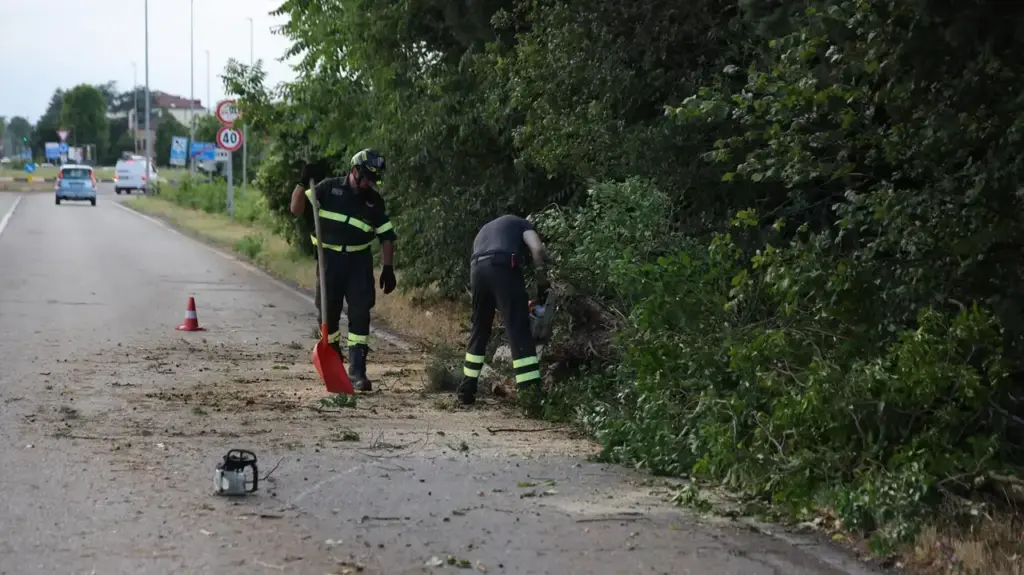 The nightmare of bad weather returns. Hail and floods. Dozens of uprooted trees. One hit a car