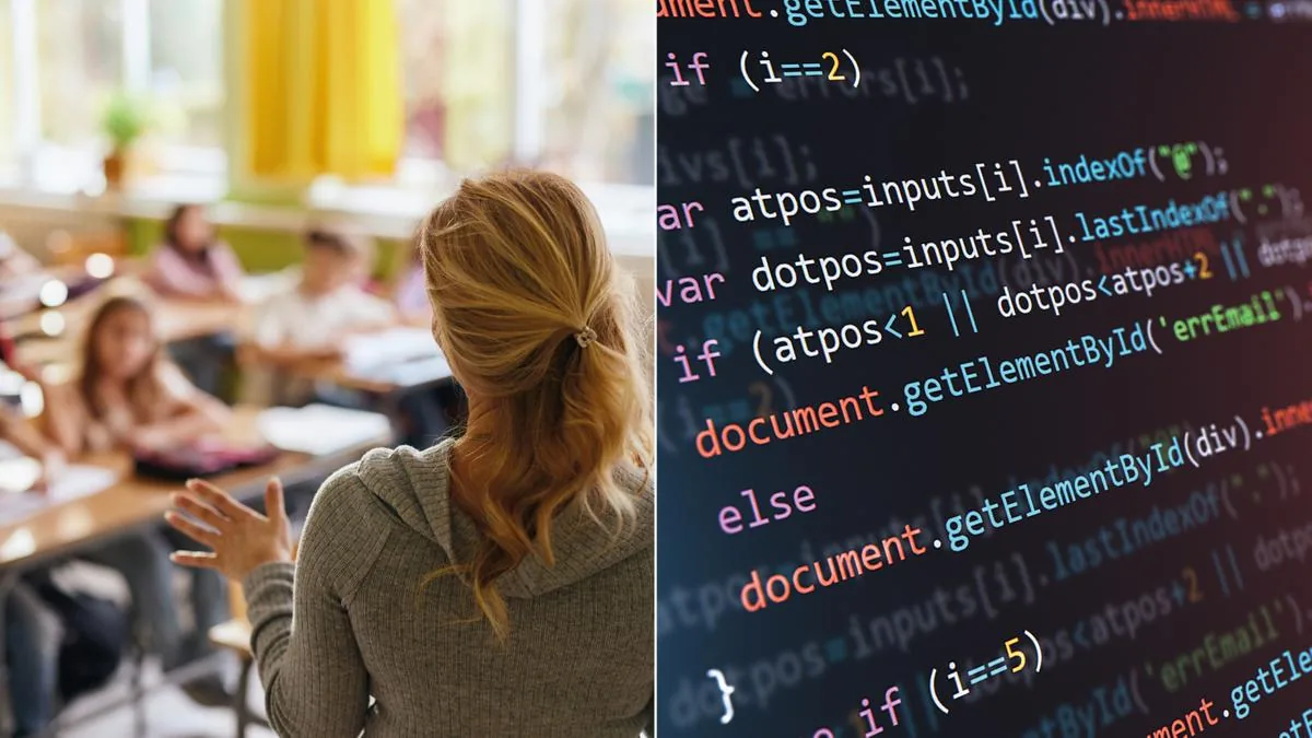School, the ruling: a temporary teacher beats the substitute teacher algorithm. “It was a mistake to deny them to him”