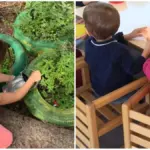 Rat poison in the kindergarten garden: 4 children in hospital. “The box was open”