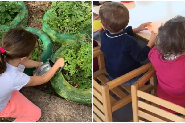 Rat poison in the kindergarten garden: 4 children in hospital. “The box was open”