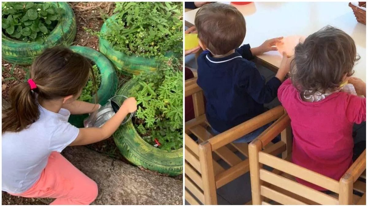 Rat poison in the kindergarten garden: 4 children in hospital. “The box was open”