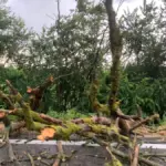Storm alert still active, the unstable phase continues: weekend weather forecast in Emilia-Romagna