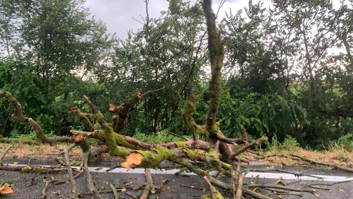 Storm alert still active, the unstable phase continues: weekend weather forecast in Emilia-Romagna