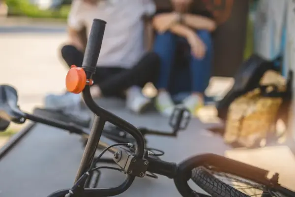 Baby thieves with a baton. “Our 11-year-old children threatened and robbed of their bicycles”