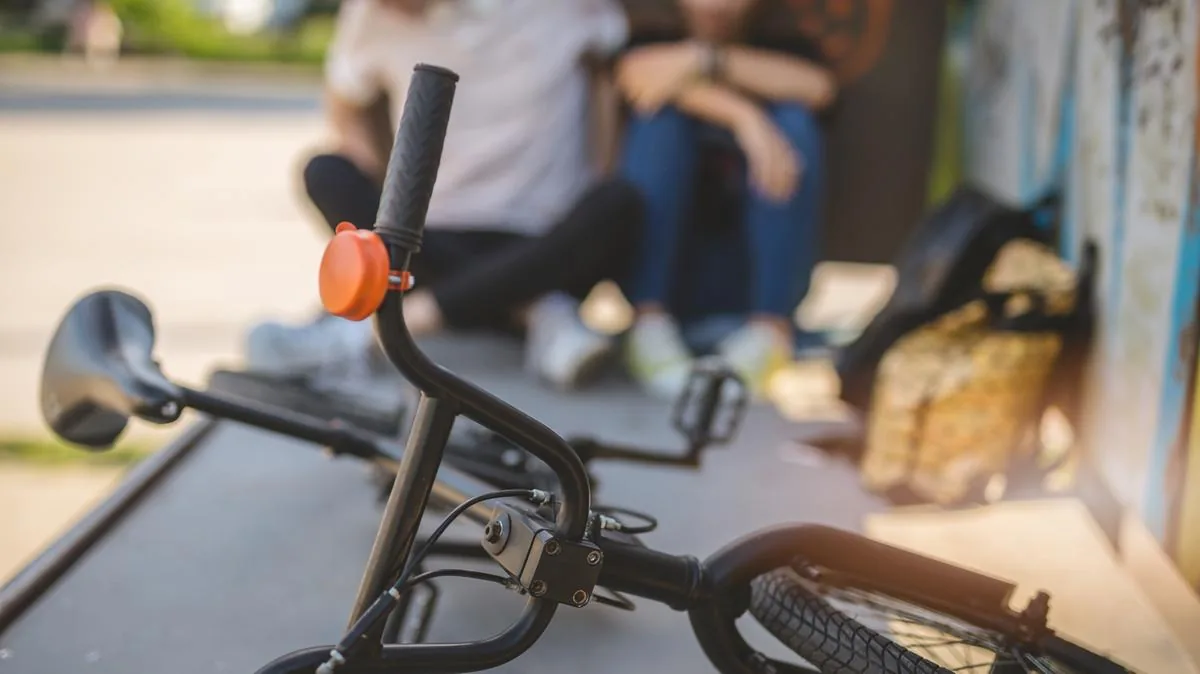 Baby thieves with a baton. “Our 11-year-old children threatened and robbed of their bicycles”