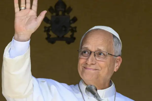 The Pope visits Rimini on August 22, how to participate in the mass: the rules