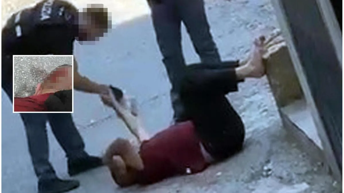 Fakir, there are 2 more videos. The police officer's bodycam shows 4 passersby helping the officers