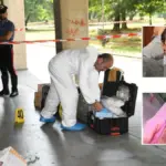 Stabbed to death at dawn, the body lying on the stairs. The partner confesses: “It was me”