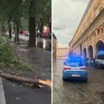Bad weather in Bologna: gusts of wind, blackouts, and flooding. A tree falls on a building, damage also to the