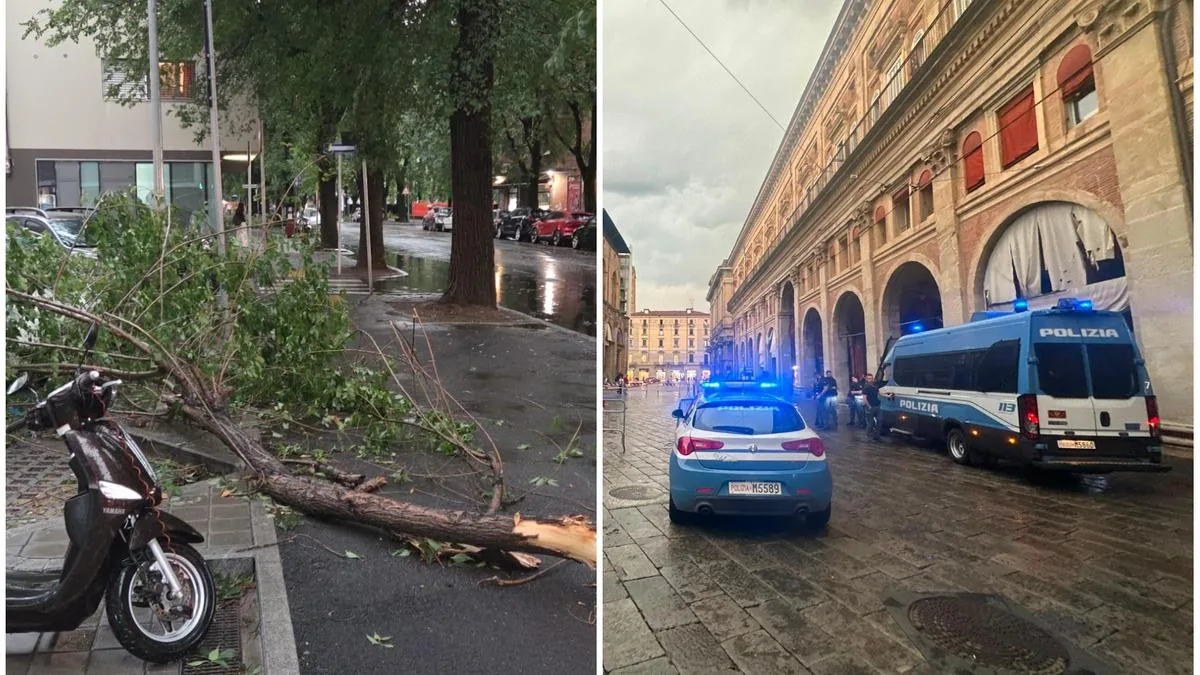 Bad weather in Bologna: gusts of wind, blackouts, and flooding. A tree falls on a building, damage also to the