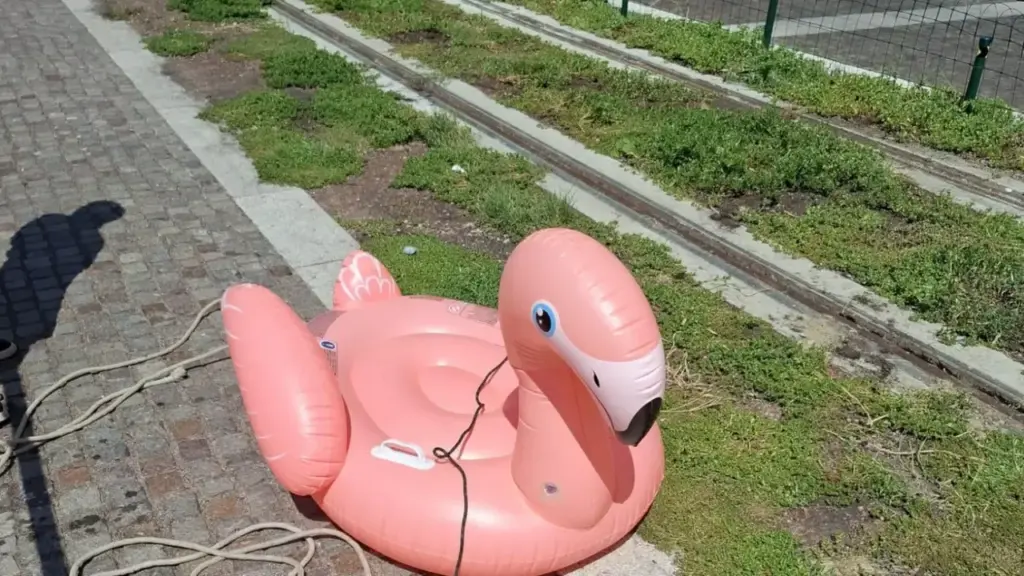 Invasion of flamingos (inflatable) in the canals of Bologna, viral photos on social media: prank or gesture of