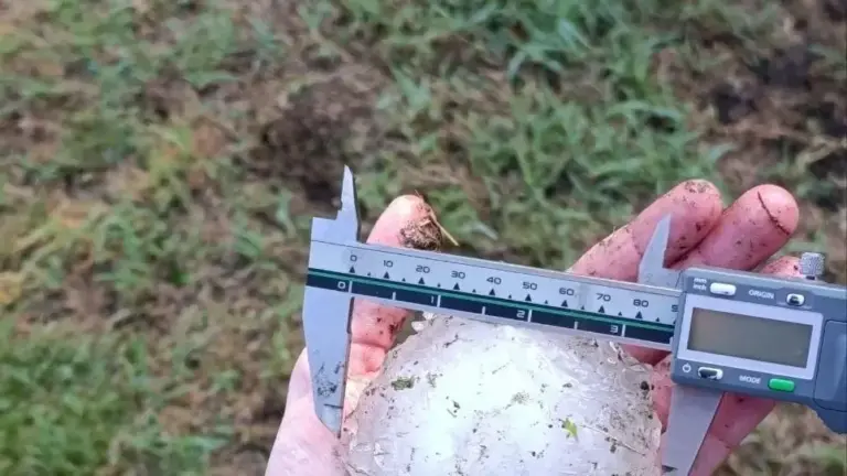 Record hailstorm hits Ferrara area: 9-centimeter hailstones destroy cars and windows of some houses
