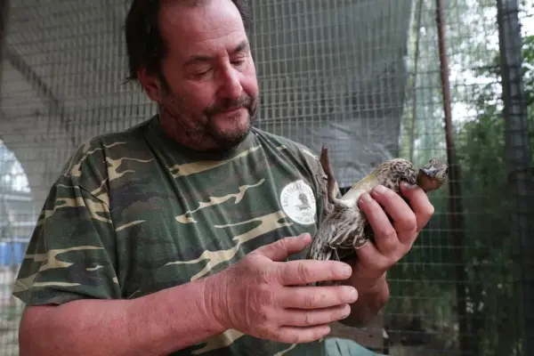 “Saved 400 ducks from botulism”: farewell to Alberto, the animal caretaker