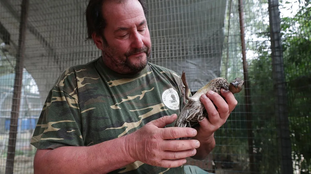 “Saved 400 ducks from botulism”: farewell to Alberto, the animal caretaker