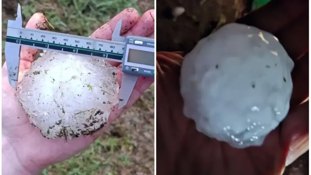 Record hailstones hit the Ferrara area last night causing numerous damages (photo from Emilia Romagna Meteo and MeteoRoby)