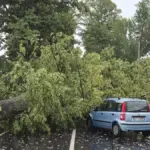 Cloudburst, flooding and chaos in the Pesaro area. And trees fall on two moving cars