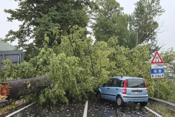 Cloudburst, flooding and chaos in the Pesaro area. And trees fall on two moving cars
