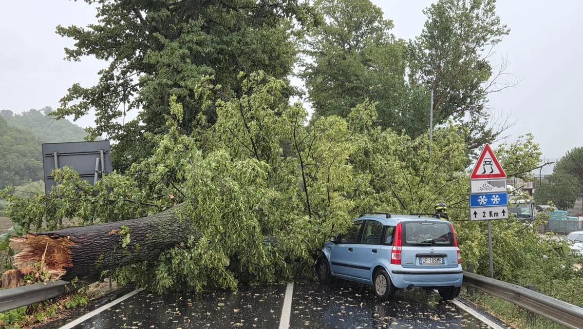 Cloudburst, flooding and chaos in the Pesaro area. And trees fall on two moving cars