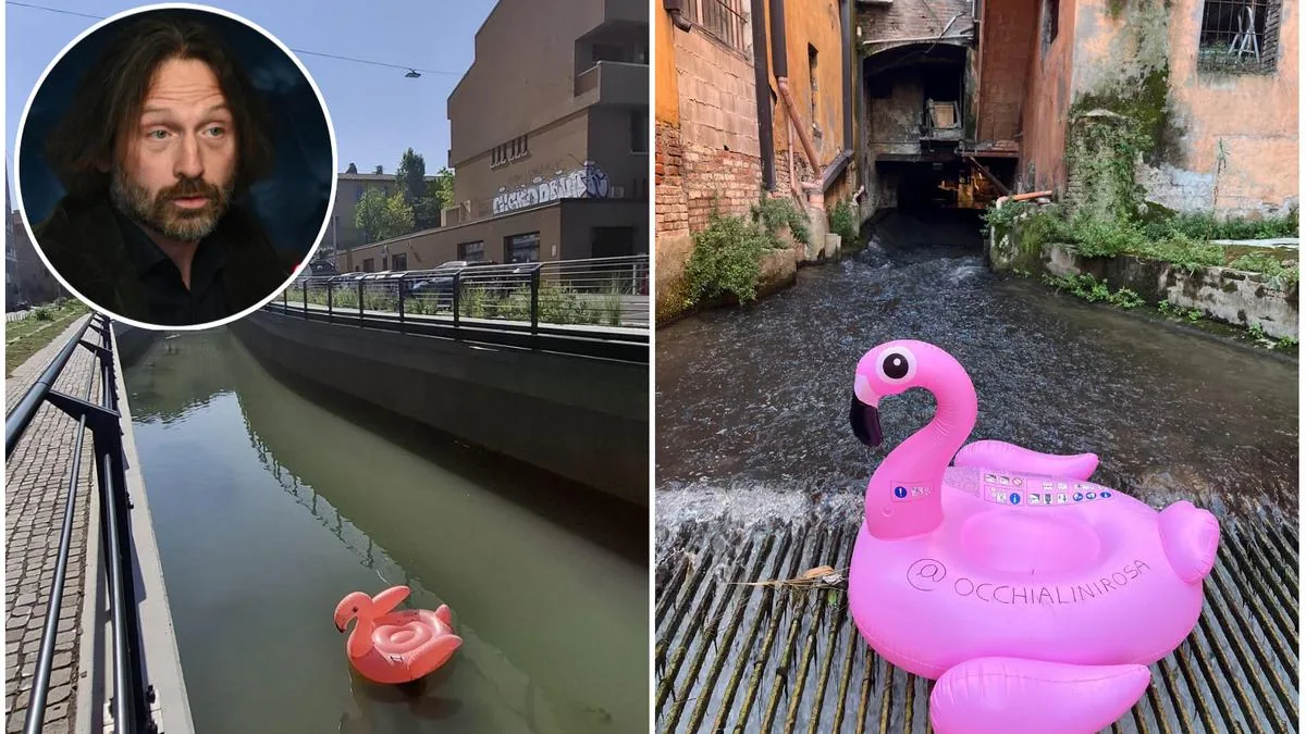 Invasion of flamingos (inflatable) in the canals of Bologna, viral photos on social media: prank or gesture of