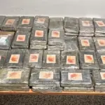 Maxi-seizure of pure cocaine: over 111 kilos of drugs worth 20 million hidden in a truck, 3 arrested