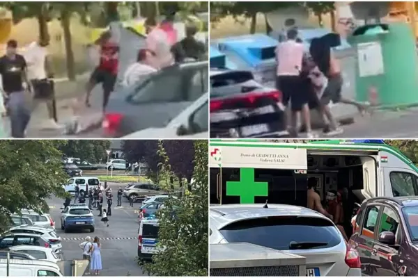 Machete fight, unprecedented violence among young people. First the accident, then the chaos. “They also had guns