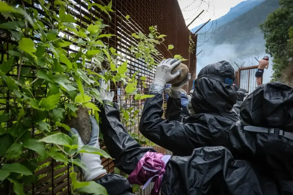 No Tav march, hundreds of hooded individuals assault the Chiomonte construction site