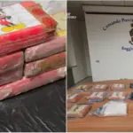 Pure cocaine at 80% from Spain, Dominican gang dismantled in Reggio Emilia: the bricks were marked ‘To