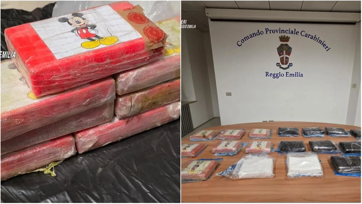 Pure cocaine at 80% from Spain, Dominican gang dismantled in Reggio Emilia: the bricks were marked ‘To
