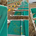 Fish waste, paint, and torn umbrellas: establishments devastated by the maranza. "They cut us a sac