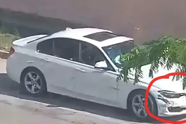 Blocked after the escape: dies. During the chase, he rams and attacks the carabinieri who use the taser