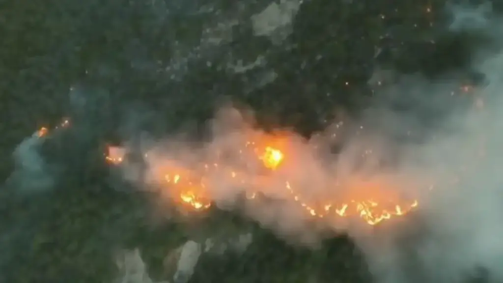 Lightning ignites the fire and 100 hectares burn