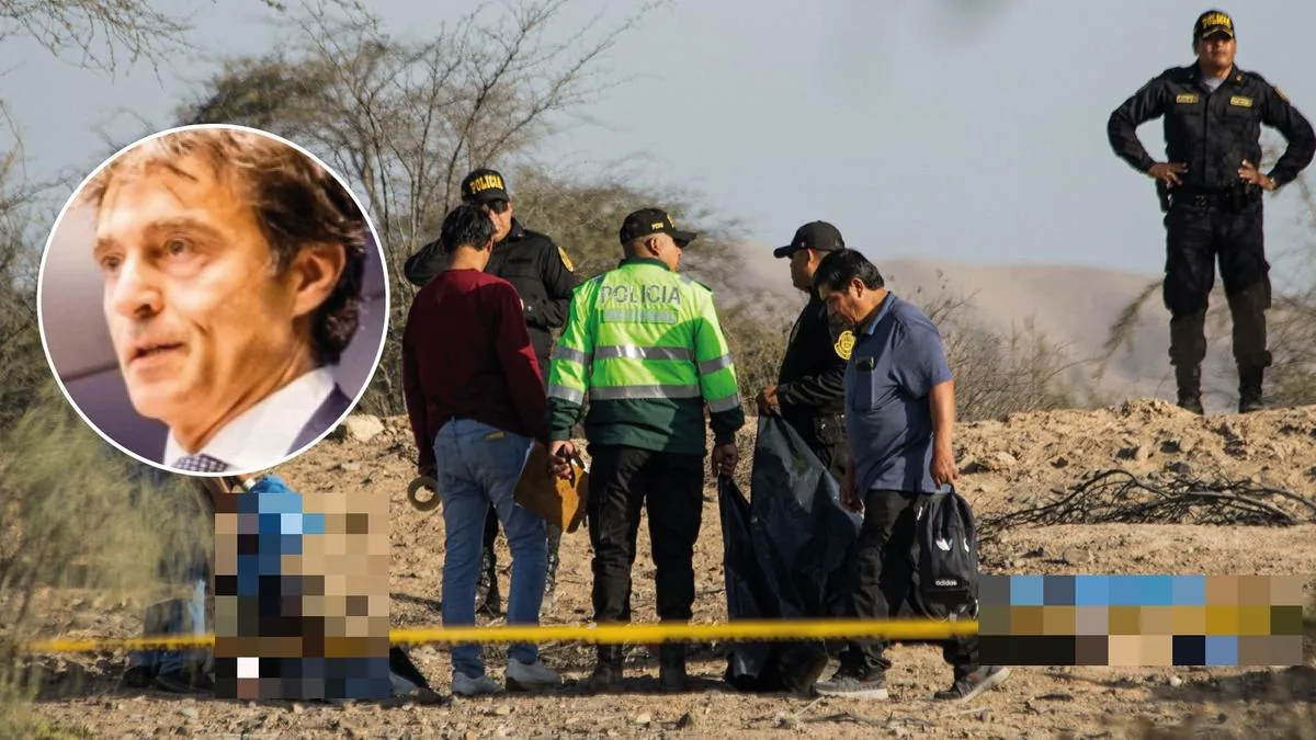 Paolo Gianturco dead in plane crash in Peru, mourning at Bbs: “Brilliant and esteemed professor”