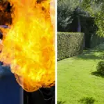 Sets fire to neighbor's hedge with LPG: "I am exasperated." 46-year-old woman arrested