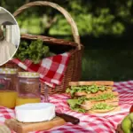 Gastroenteritis and intoxications, viruses do not take a vacation: how to protect yourself in summer. “Beware of co