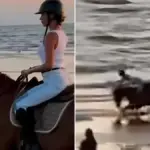 Belén Rodríguez falls from the horse Pongo at Albarella: "Guys, what a fall I took" / Video