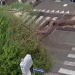 Cloudbursts and strong gusts of wind in Ravenna: fallen trees, the balustrade of a residence collapses. Roads clo