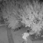Young people in private gardens, the complaint spreads on social media: “Parents, keep an eye on your children”