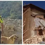 Farewell to Marley, the hero dog of the 2016 earthquake and the collapse of the Morandi bridge in Genoa