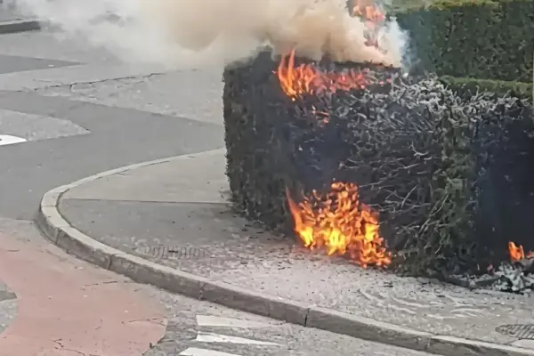 The wheelchair does not pass: disabled person sets fire to the hedge. Reported