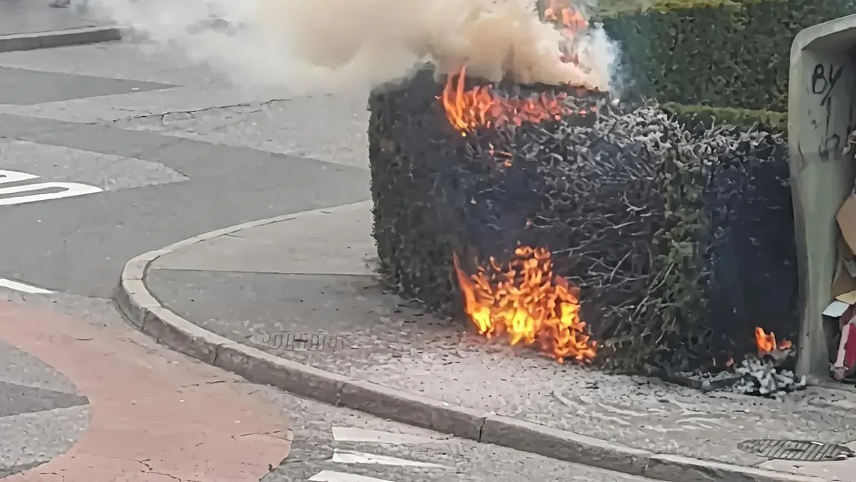 The wheelchair does not pass: disabled person sets fire to the hedge. Reported