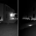 They attempt the theft then flee: the video goes viral on social media. The outburst: "This is what we are forced to