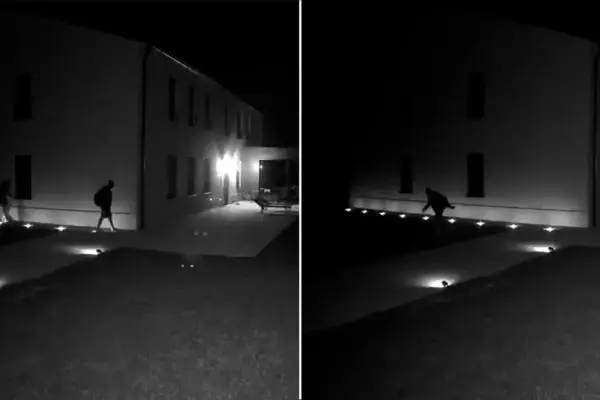 They attempt the theft then flee: the video goes viral on social media. The outburst: "This is what we are forced to