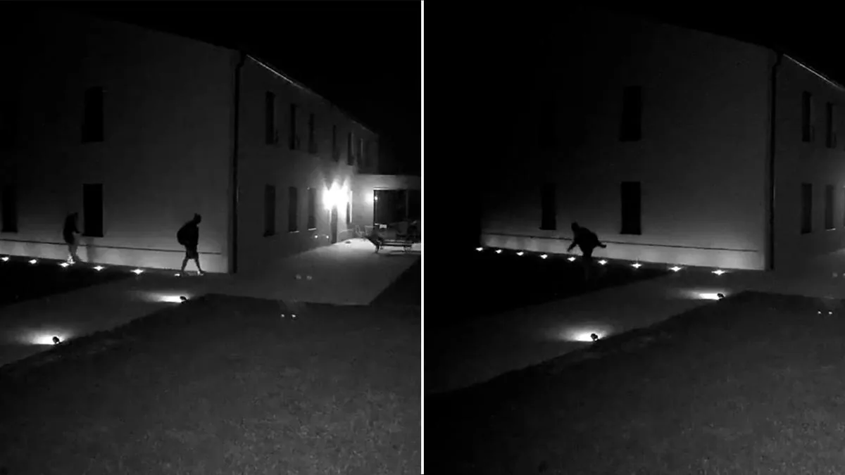 They attempt the theft then flee: the video goes viral on social media. The outburst: "This is what we are forced to