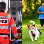 'Hot' evening in the pizzeria, dog bites a girl on the face: the father argues with the owner and attacks him