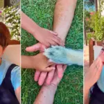 Benedetta Rossi moved, the first video as a mom after returning home with her adopted daughters: “We are in you
