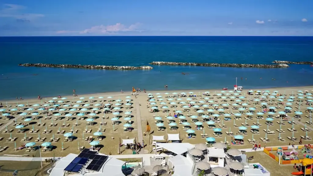 An establishment in the Rimini north area