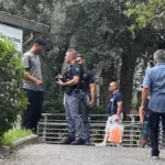 Arrives at the Pesaro Cup covered in blood and collapses: 20-year-old stabbed. Mayor and councilor: “Episodes